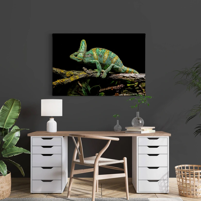 Leinwandbild Brown - Chamäleon 