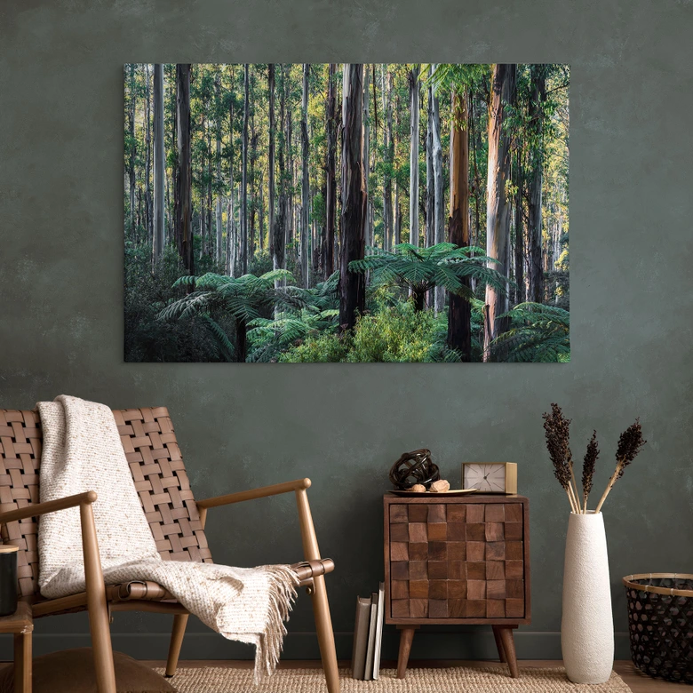 Leinwandbild Eukalyptuswald in den Yarra Ranges - Colombo 