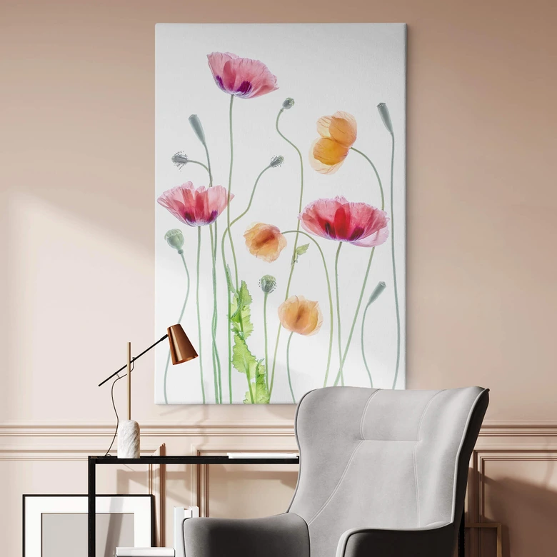 Leinwandbild Blumen - Bunte Mohnblumen - Disher 