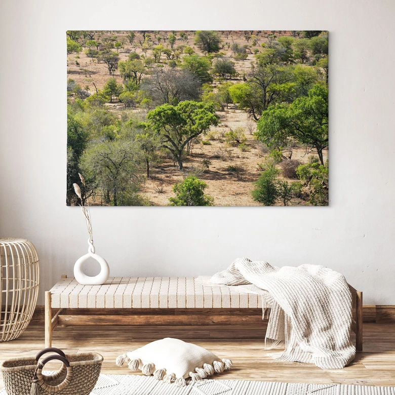 Leinwandbild Savannenlandschaft in Afrika - Hugonnard 