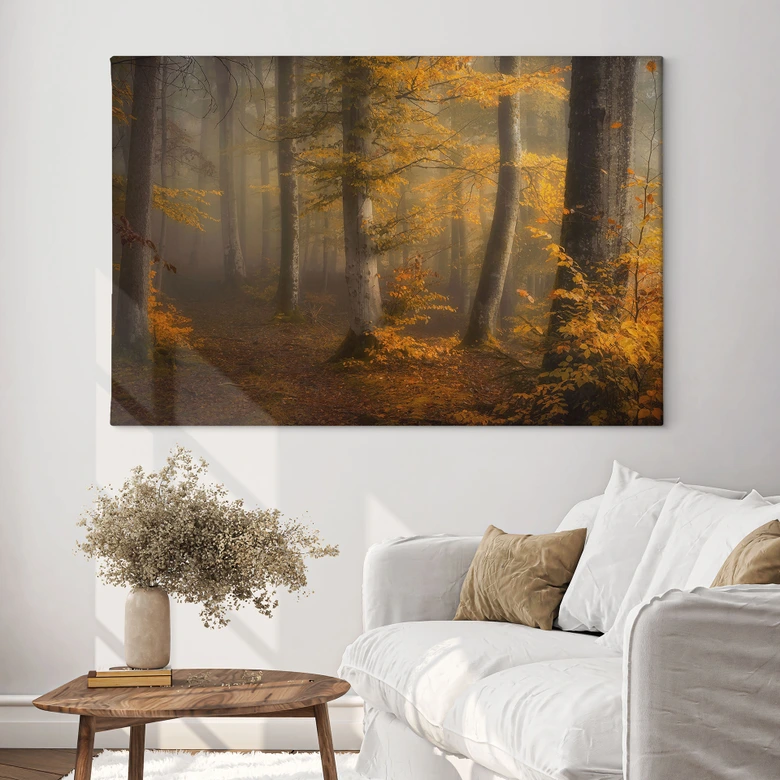 Leinwandbild Goldene Blätter im nebligen Wald - Maier 
