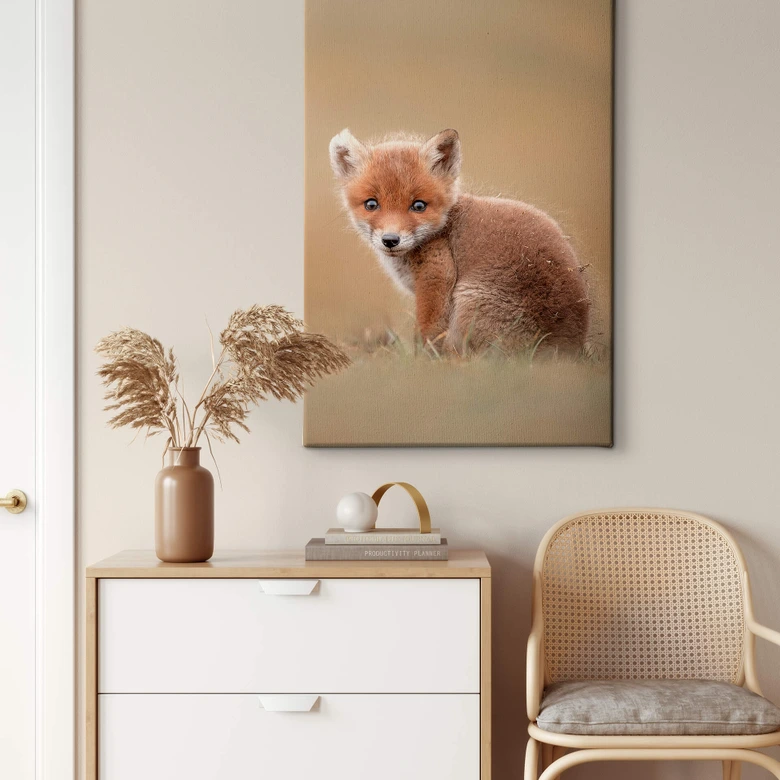 Leinwandbild van Duijn - Baby Fuchs 