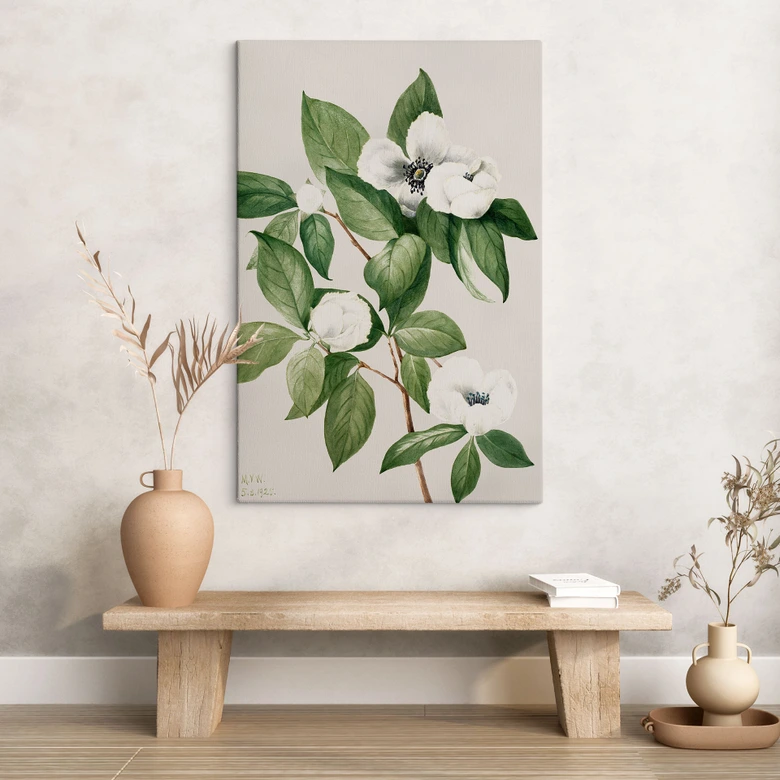 Obraz na płótnie przedstawiający botaniczną ilustrację kamelii - Walcott 