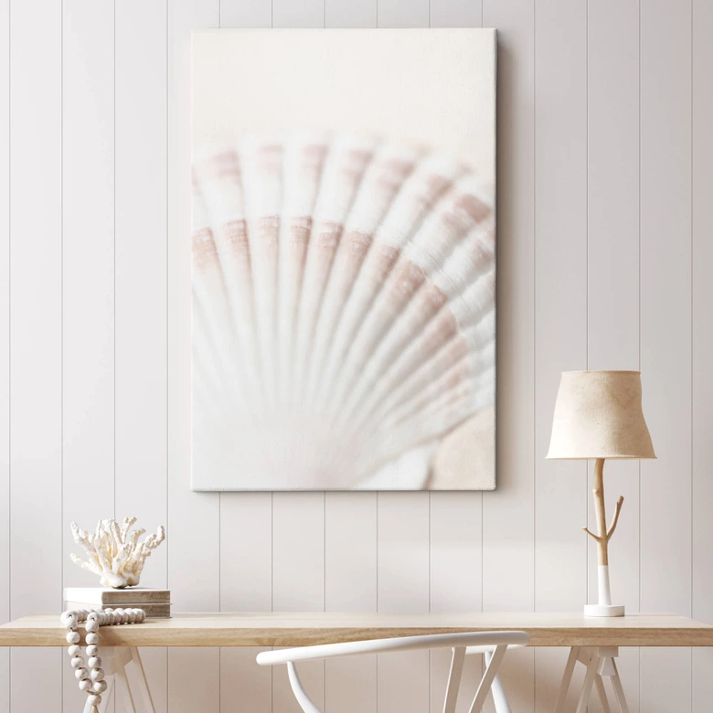 Leinwandbild 1X Studio - Jakobsmuschel 