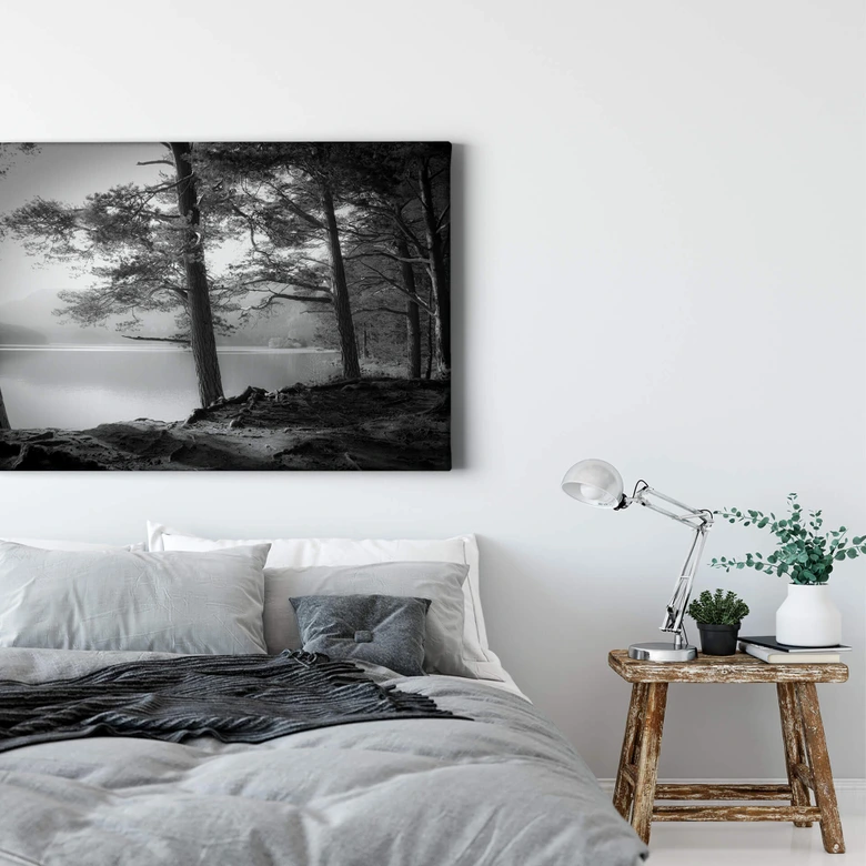 Canvastavla Fuhg - Sjöutsikt 