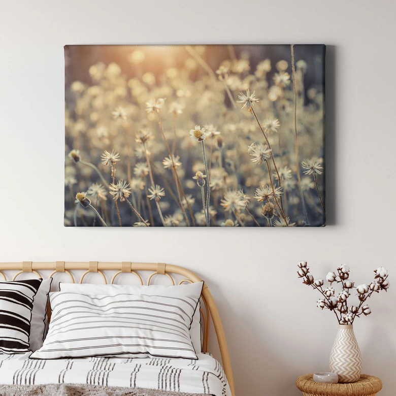 Leinwandbild Mexican Daisy 