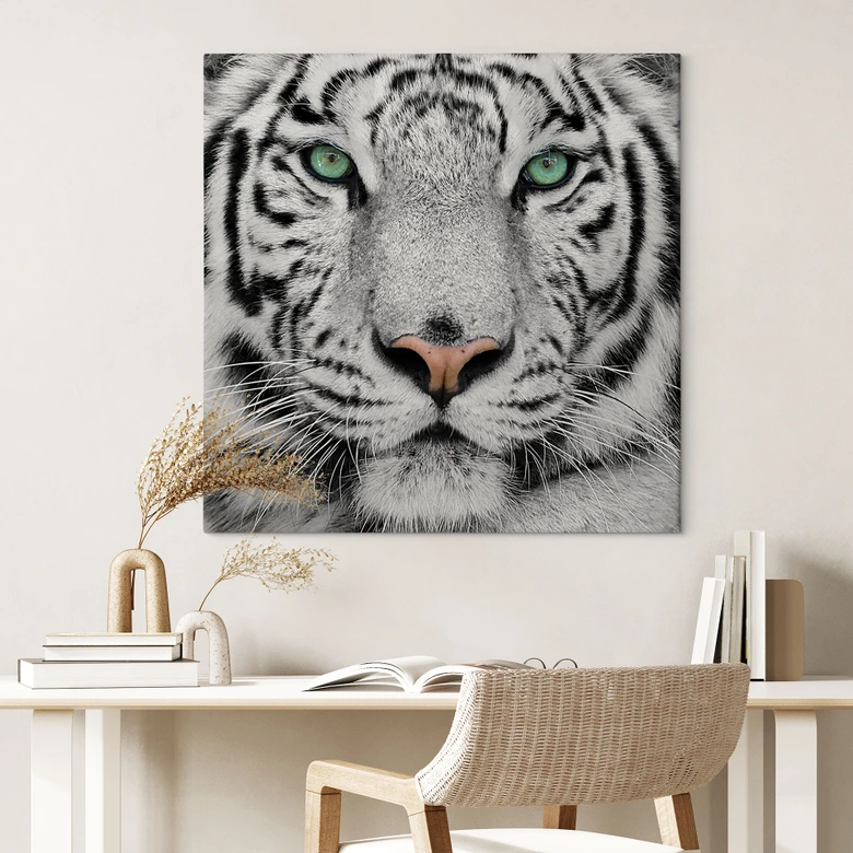 Obraz na płótnie Wspaniały tygrys sumatrzański 