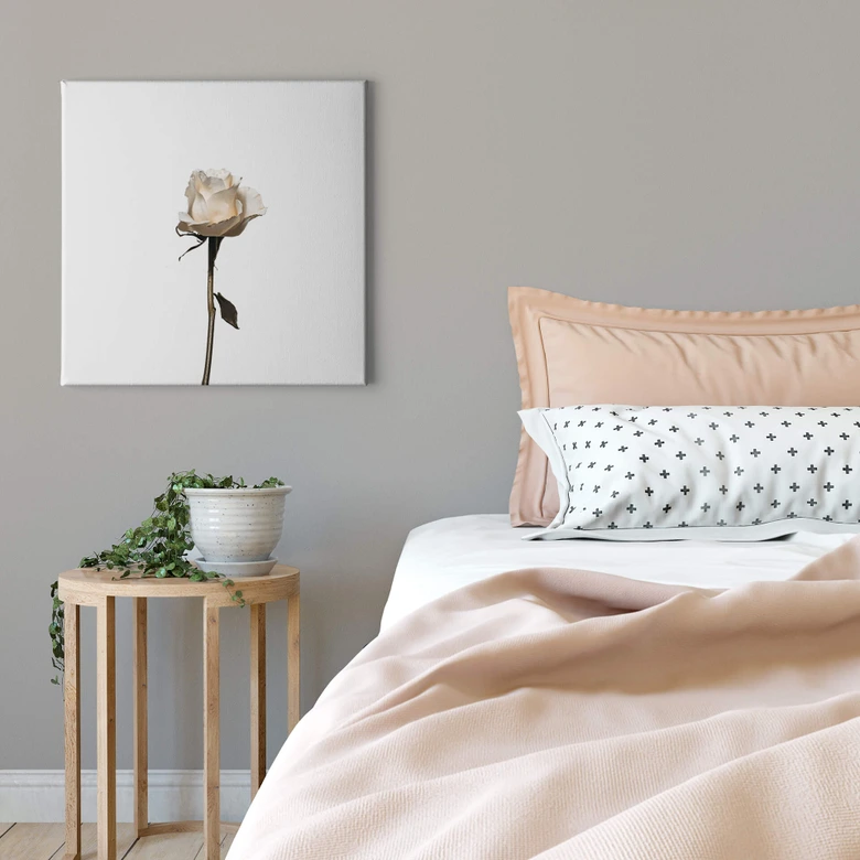 Leinwandbild Die weiße Rose - Quadratisch 