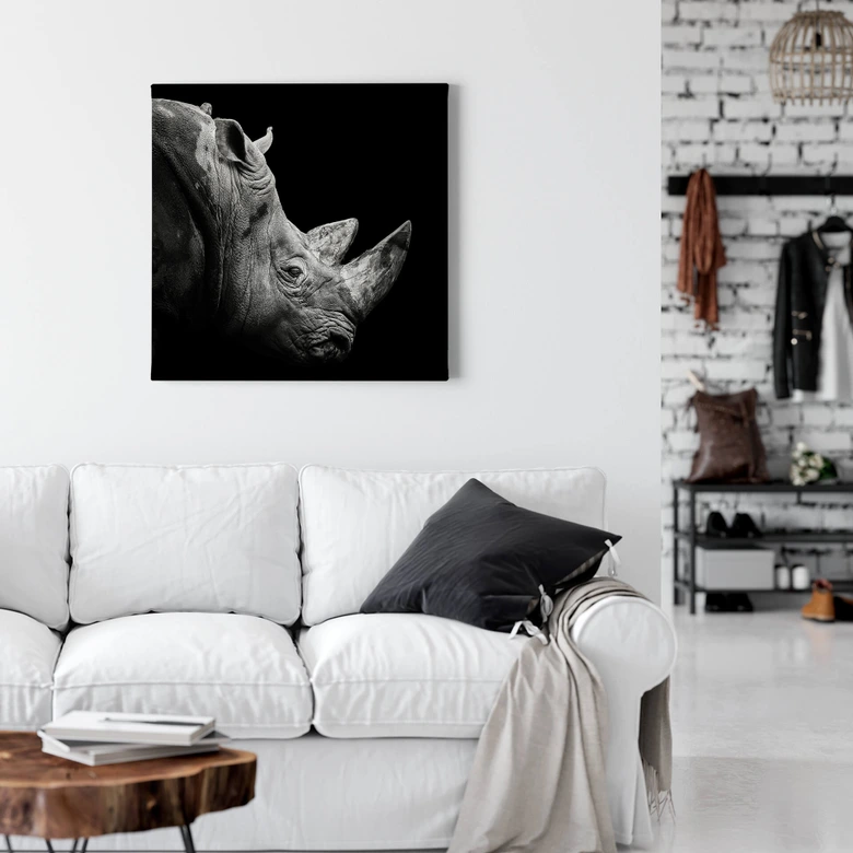 Leinwandbild Meermann - Das Nashorn - Quadratisch 