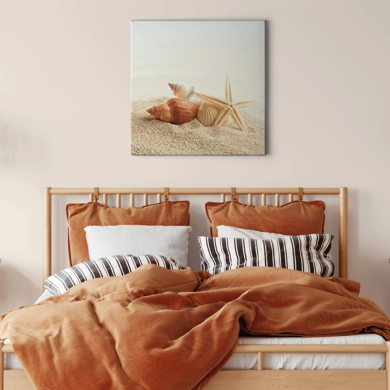 Leinwandbild Seestern und Muscheln - Quadratisch 