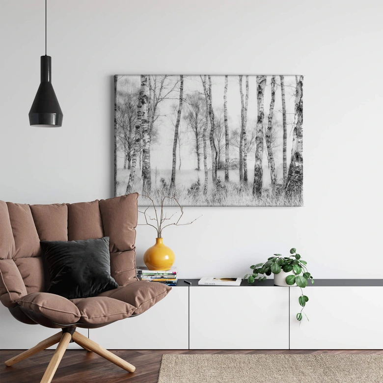 Leinwandbild Talen - Schwarz-weißer Birkenwald 
