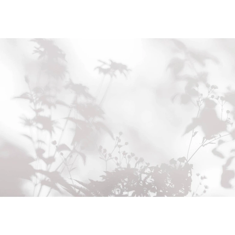 Livingwalls Fototapete Walls by Patel 3 Shadow Room 2 grau, weiß 
