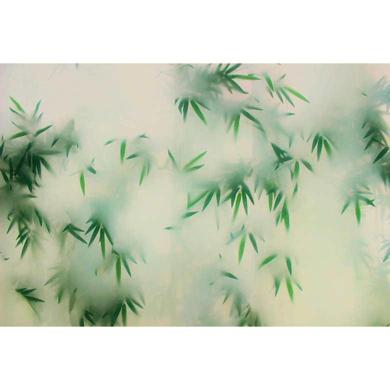 Fotomural Paredes de Patel 3 Panda`S Paradise 2 verde, beige 