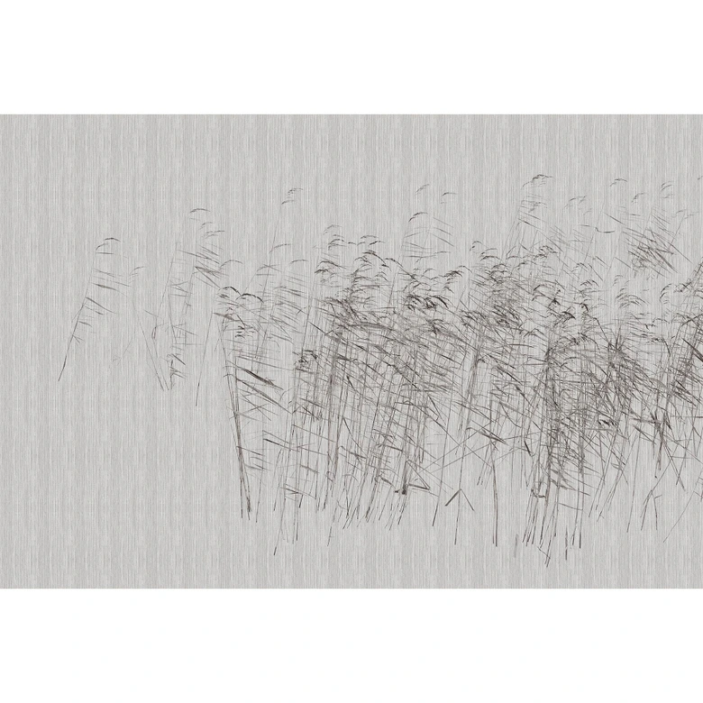 Livingwalls Fototapete Walls by Patel 3 At The Pond 2 grau 