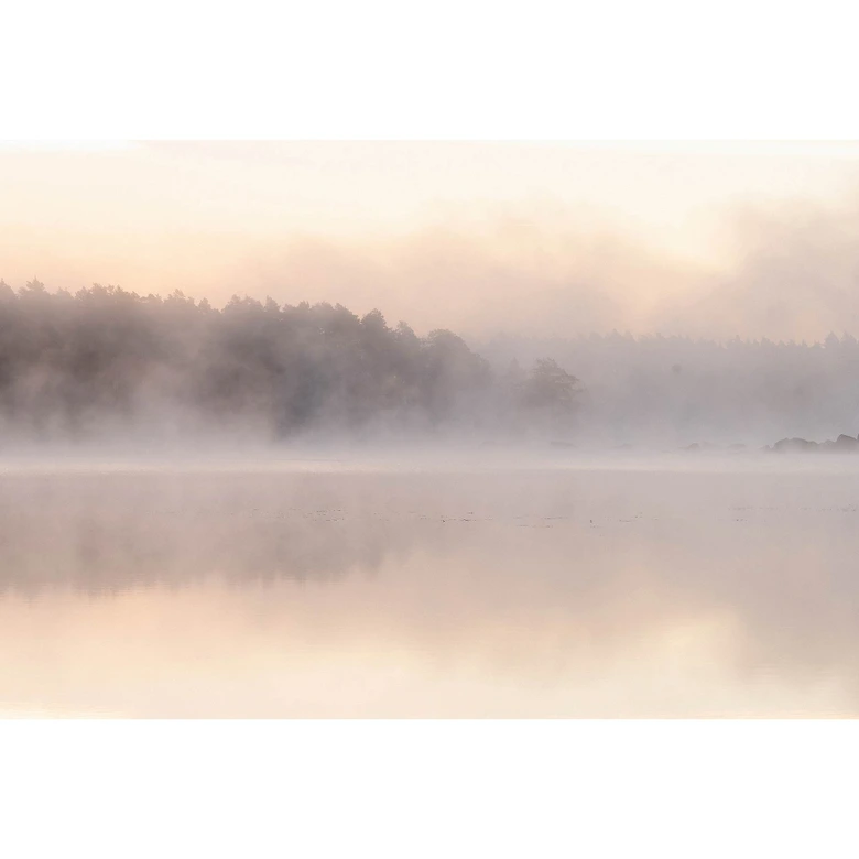 Skogssjö med dimma, premium non woven Fototapet från Livingwalls, väggar från Patel 3, Avalon 2 