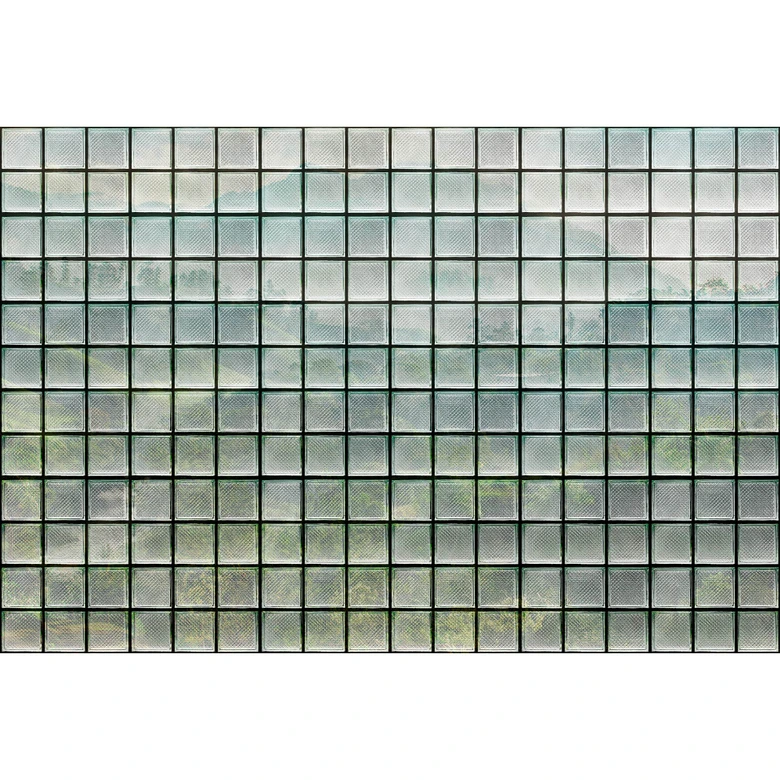 Livingwalls Fototapete Walls by Patel 3 Greenhouse 3 grün, grau, schwarz, weiß 