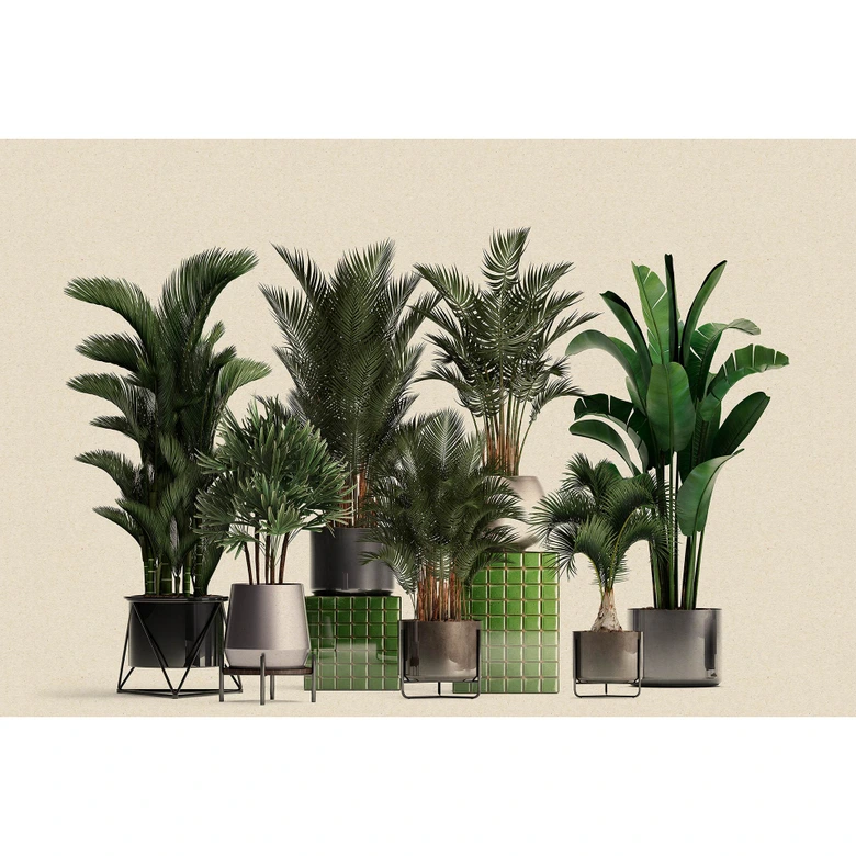 Livingwalls Fototapete Walls by Patel 3 Plant Shop 1 grün, beige, grau, schwarz 