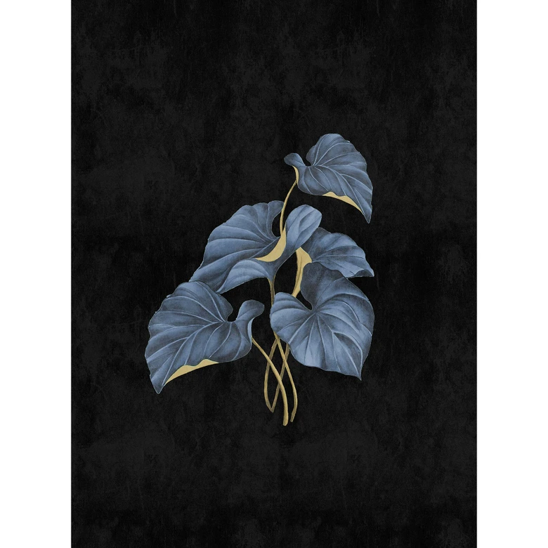 Fototapeta Livingwalls Walls by Patel 3 Fiji 1 czarny, niebieski, żółty 