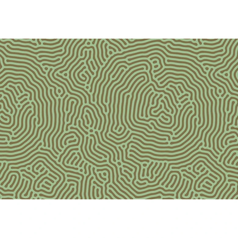 Livingwalls Fototapete Walls by Patel 3 Sahel 1 grün, beige 