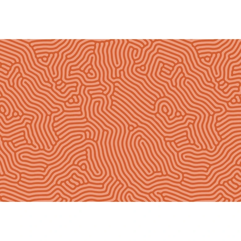 Livingwalls Fototapete Walls by Patel 3 Sahel 3 orange 