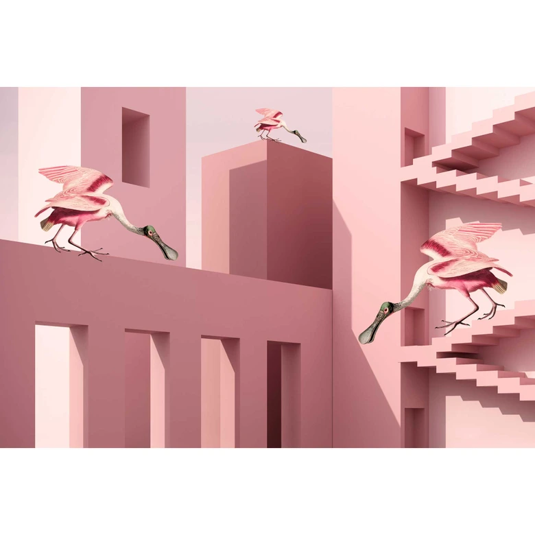 Fototapete Surrealistische Vögel in Rosétönen - Vliestapete mit Architekturelementen 