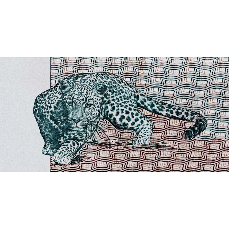 Fototapete Leopard mit Wellenmuster Schwarz Weiß - Vliestapete Wild Look 