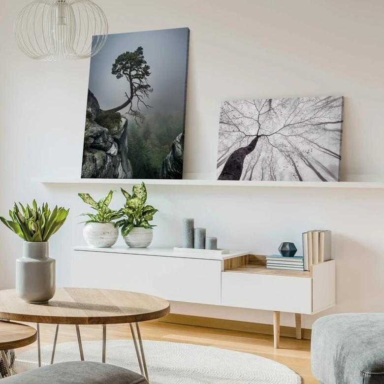 Leinwandbild Wonisch - Kräfte der Natur 