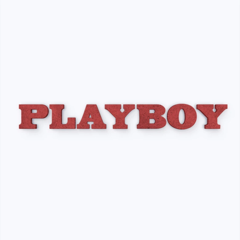 Lettres décoratives en bois MDF - Playboy 