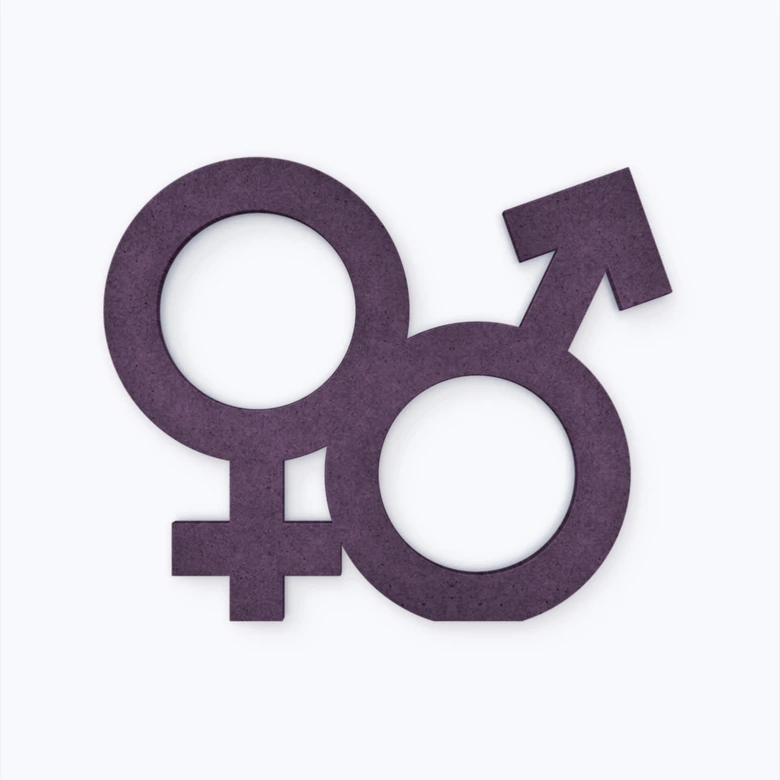 MDF-Holzdeko Gender-Symbol Hetero 