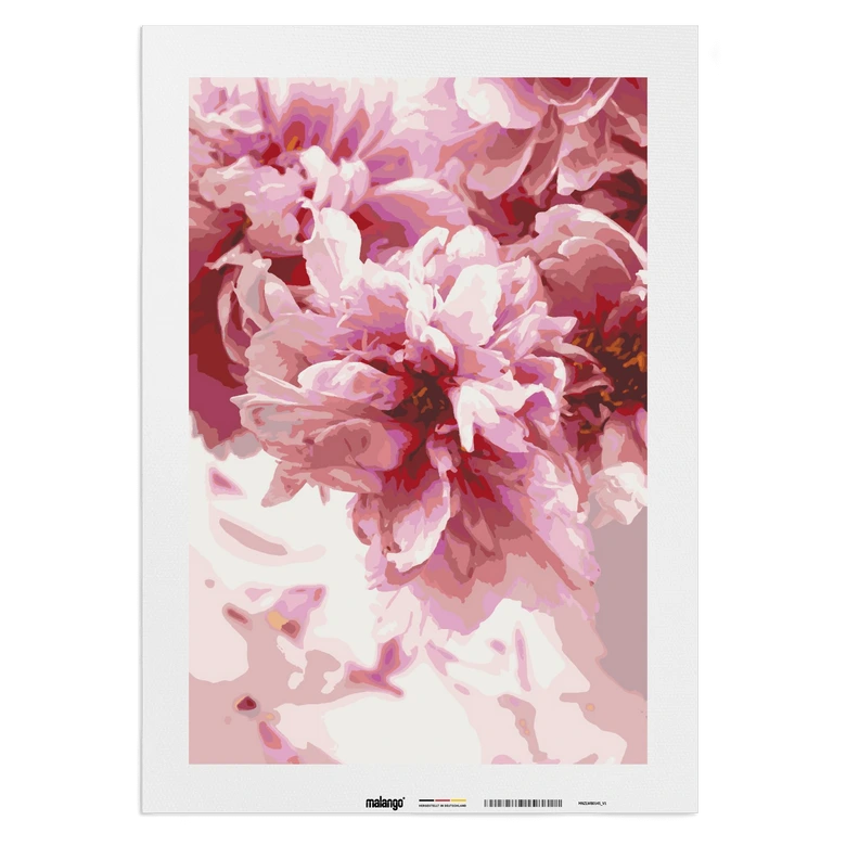 Malen nach Zahlen Leinwandbild - Rosen zur Blüte  