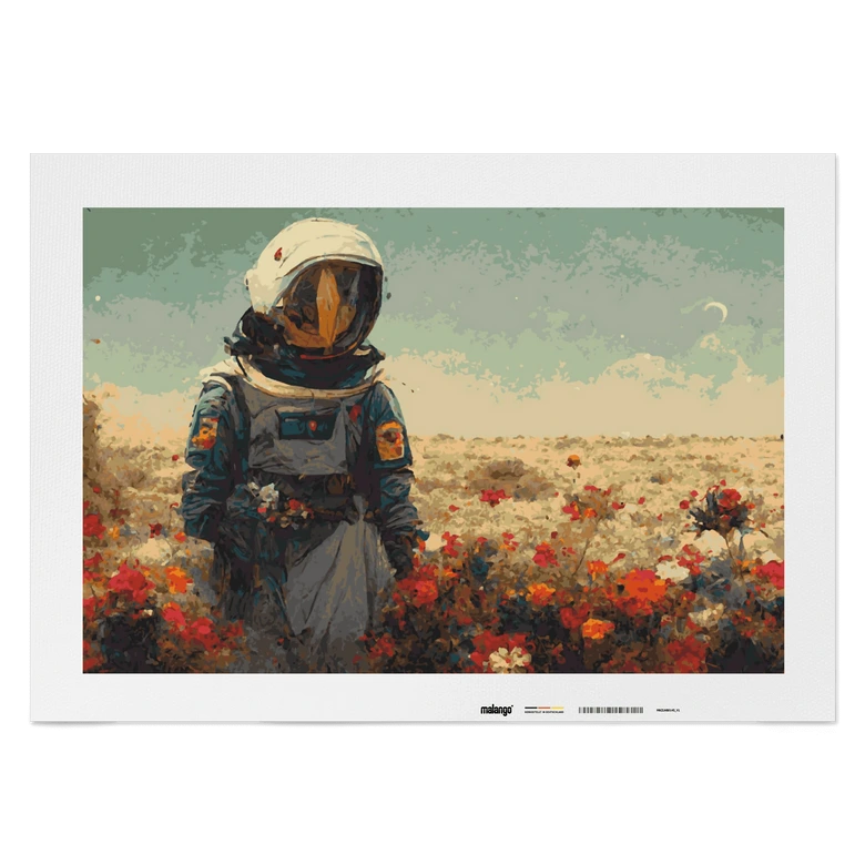 Malen nach Zahlen Leinwandbild - Astronaut  