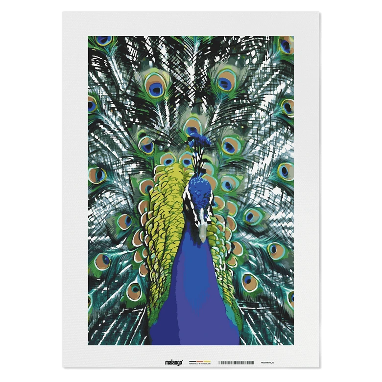 Malen nach Zahlen Leinwandbild - Pfau Philippe  