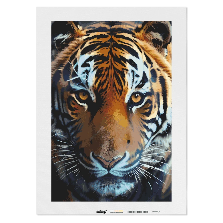 Malen nach Zahlen Leinwandbild - Tiger Talha  