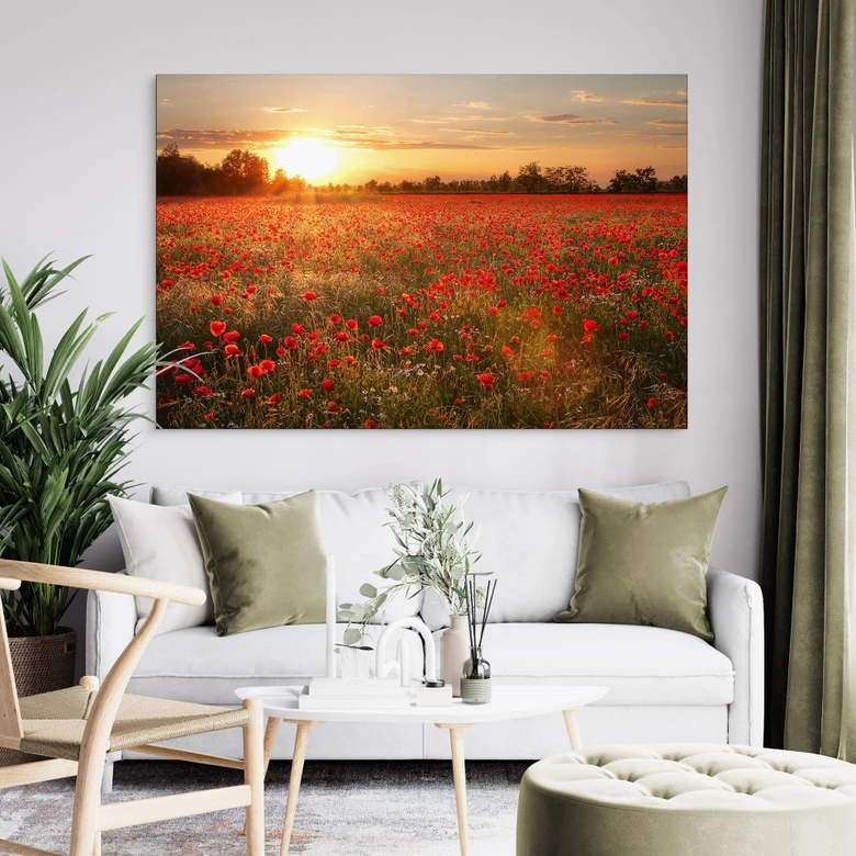 Wandbild Mohnfeld im Sonnenuntergang - Alu-Dibond 