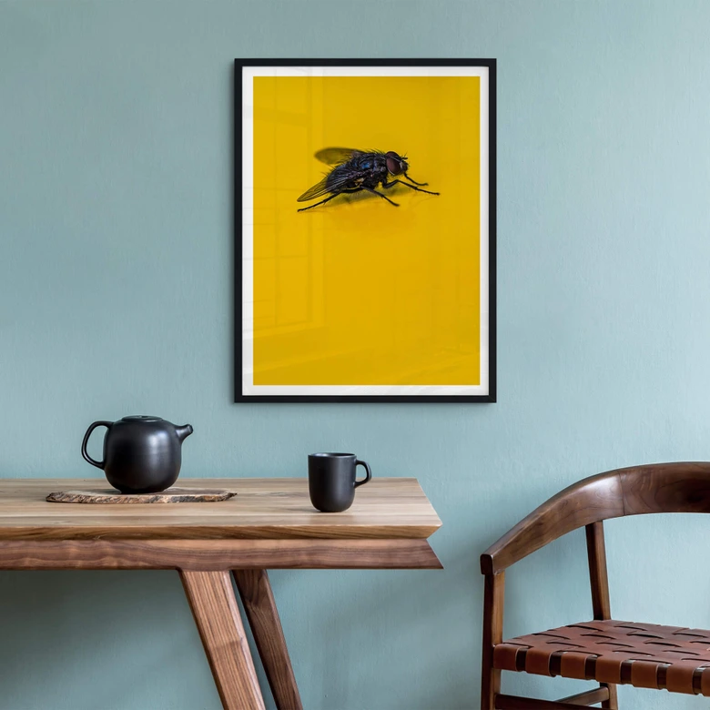 Poster Brown - Hausfliege auf Gelb 