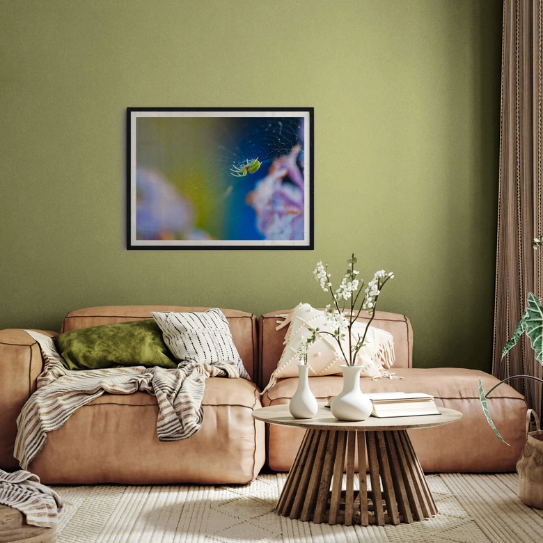 Poster Brown - Niedliche Spinne 