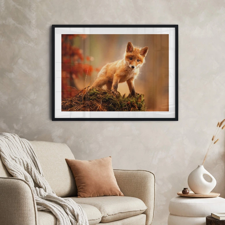 Poster Adamec - Junger Fuchs im Wald 