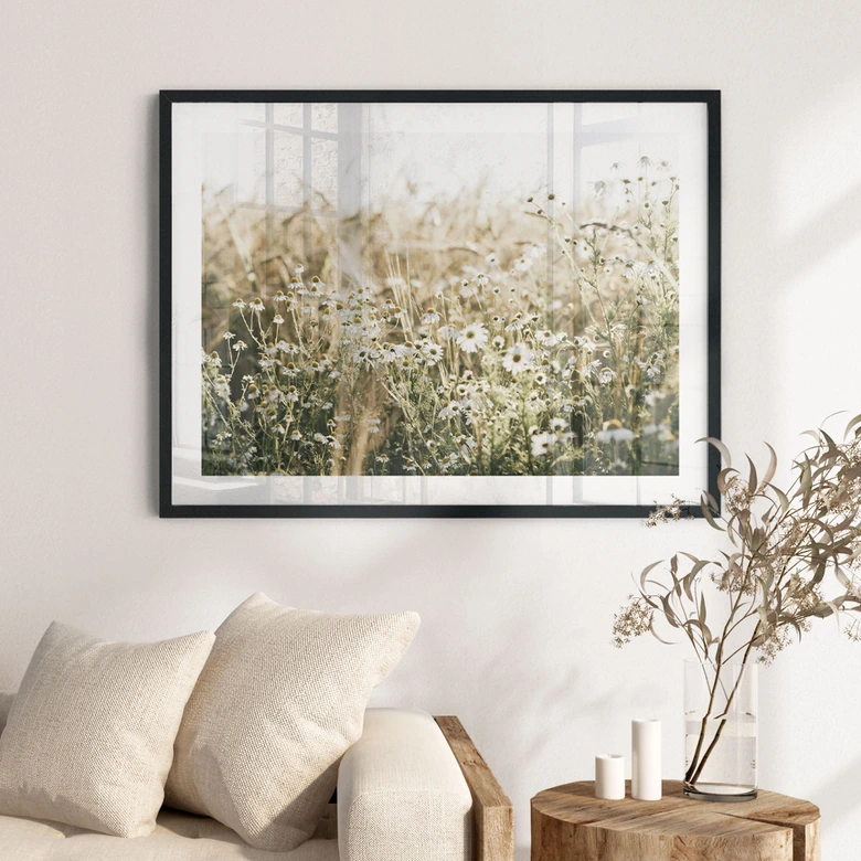 Poster Sommerwiese mit Kamille - Annie 