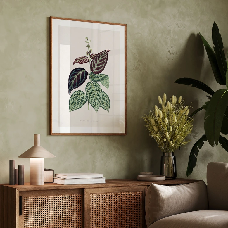 Poster Blatt Illustration - Bignonia Argyro Violacea 