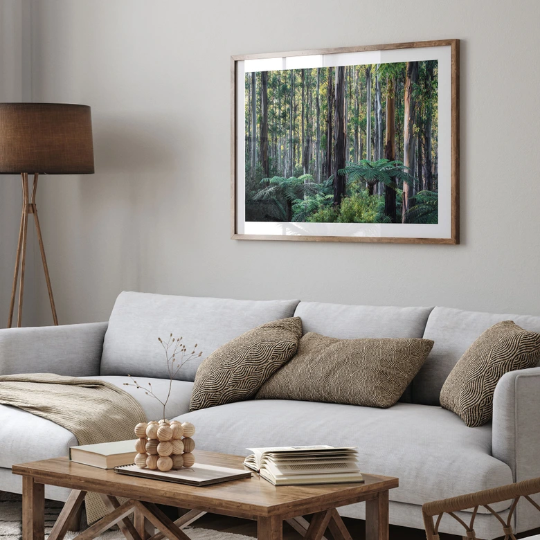 Poster Eukalyptusskog i Yarra Ranges - Colombo 