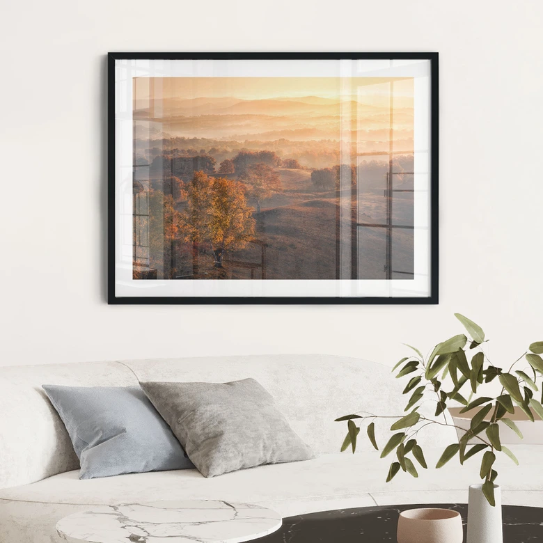 Póster Abedules en el rocío dorado de la mañana - Cui 