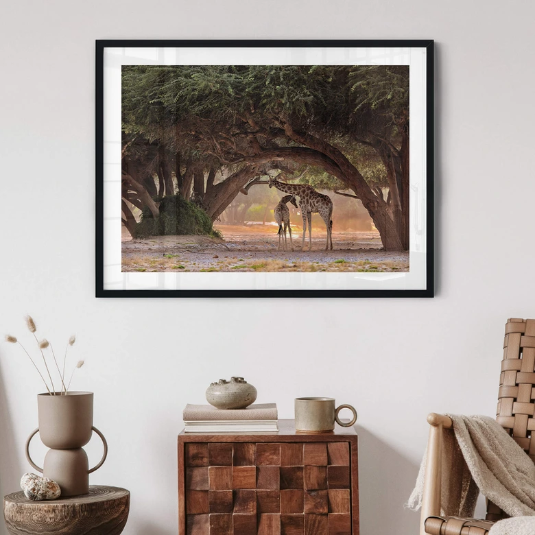 Poster D'Amico - Zwei Giraffen in Namibias Savanne 