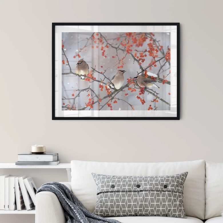 Poster Li - Drei Vögel in einer Winterlandschaft 