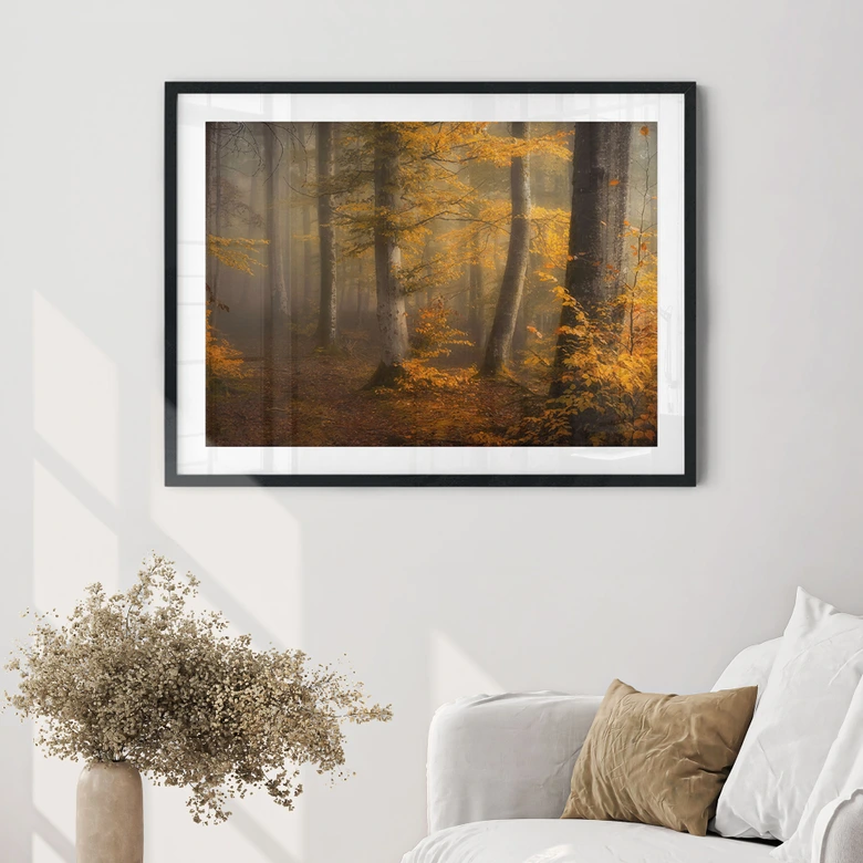 Poster Feuilles d'or dans la forêt brumeuse - Maier 