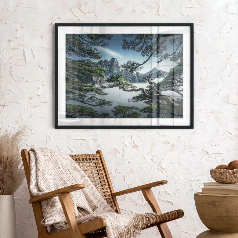 Poster Kiefernwald im Huang Shan Gebirge - NingYun Ye 