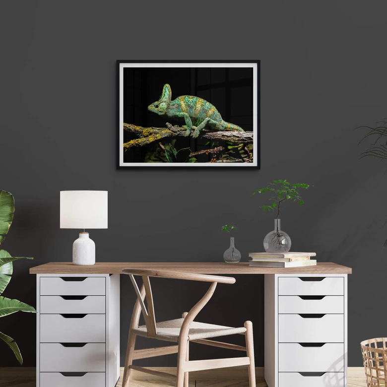 Poster Brown - Chamäleon 