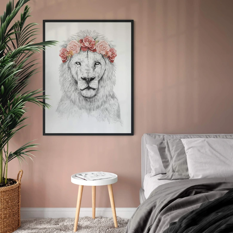 Plakat - Solti - Festival Lion 