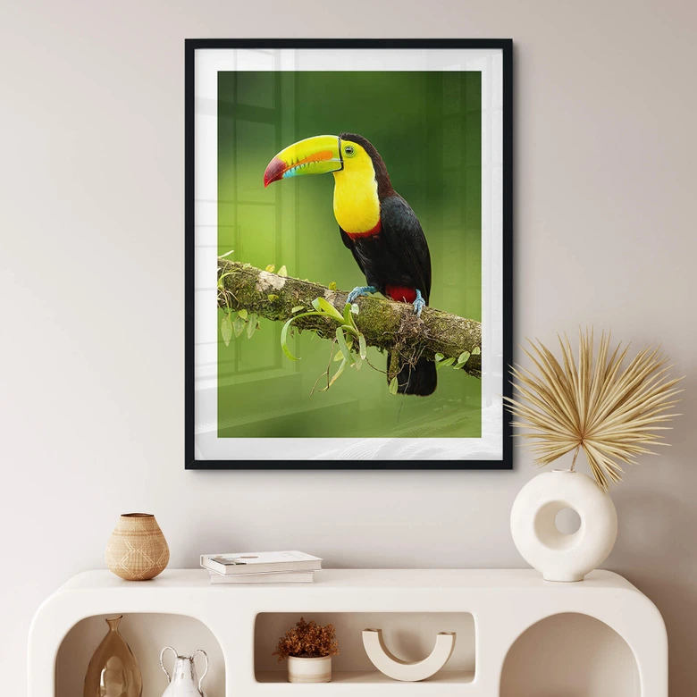 Poster van Duijn - Fischertukan in Costa Rica 