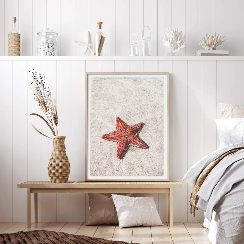 Póster Colombo - Estrella de mar roja 