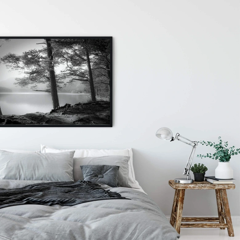 Póster Fuhg - Vista del lago 